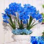 Fresh 100pcs Phalaenopsis Orchid Phalaenopsis hydroponic Flower Seeds