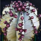 Fresh Euphorbia obesa Basketball Sea Urchin 100 pcs Living (Col:6) Seeds