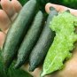 Fresh 20 Pcs Novel Finger Limes Citrus Pomegranate Delicious Sweet Fruit Mix Colors Seeds