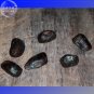 Fresh 10PCS Ravenala madagascariensis Seeds 100% Real Travellers Palm