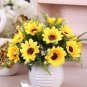Fresh 24 Kinds Different Flower Seeds Seeds Exotic Suculenta