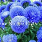 Fresh 100 pcs Chinese Aster Strong Ability to reproduce and Courtyard in Flower ers Seeds