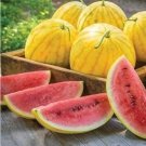 Fresh 100PCS Watermelon Seeds Yellow Skin Red Inside