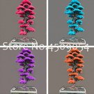 Fresh 50 pcs Tree Cedar Flores Siberian Carpet Cypress as Arborvitae e Decor Seeds