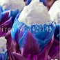 Fresh 200 Pcs Tulip Aroma Tulip Ice CreamSo Not Tulip Bulbs Hydroponic Flower as