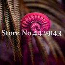 Fresh 100 pcs Edible Fern Creeper Vines Grass Mixed Foliage Exotic Flower Pots ers Seeds