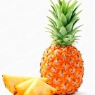 Fresh Pineapple Seeds Organic Fruit