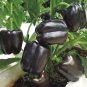 Fresh Giant Sweet Pepper Seeds 200PCS Rose Red Black Yellow White Capsicum Vegetables