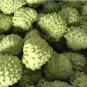 Fresh Sugar Apple Seeds Sweetsop Custard Apple Fruits DL447C