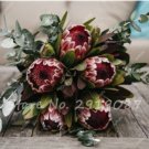 Fresh Mixed Fresh Rare Protea Cynaroides Seeds
