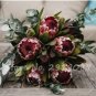 Fresh Mixed Fresh Rare Protea Cynaroides Seeds
