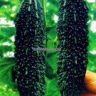Fresh Black Pearl Bitter Vegetables Seeds 10PCS