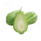 Fresh 30 pcs/ bag Chayote Seeds Succulent Pumpkin Fruit Vegetables Flower Pot ers