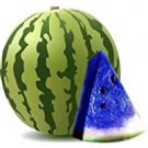 Fresh super1798 10 Pcs New Blue Watermelon Seeds Vegetable