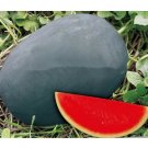 Fresh Sweet giant Black skin watermelon seeds courtyard fruit
