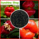 Fresh Red Lips Flower Seeds Flower Psychotria Elata Flower Seeds 100 pcs / bag