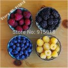 Fresh 400 Seeds Mix Four different varieties of Raspberry seeds