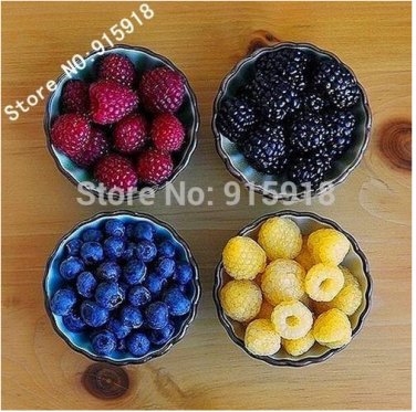 Fresh 400 Seeds Mix Four different varieties of Raspberry seeds