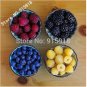 Fresh 400 Seeds Mix Four different varieties of Raspberry seeds