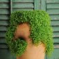Fresh 50PCS Mentha Requienii Seeds Mint Plant Bonsai Flower Seeds Grass Seeds