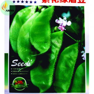 Fresh Jinke Green Hyacinth Bean Seeds 15 Seeds with purple flowers vegetables