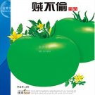 Fresh Green Big Tomato Seeds 300 Seeds/Pack Tasty Tomato Vegetables