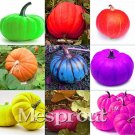 Fresh New Mixed 9 kind of Color Rare Pumpkin 10+ Seeds