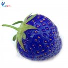 Fresh 100PCS African Blue Strawberry Seeds