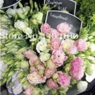 Fresh Colorful Eustoma Seed Flowers Seed LisianthusPot ers Purify Air (Color:12)