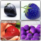 Fresh Mixed Strawberry Seeds Black Blue Giant Red Purple 100 Seeds True Variety Fruits