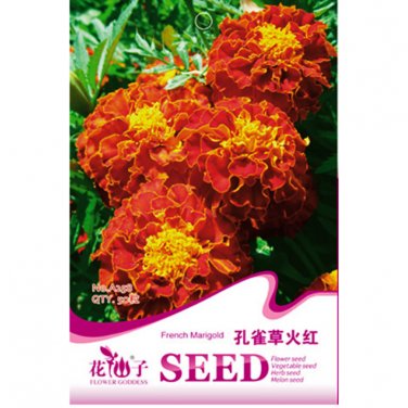 Fresh Fire Red French Marigold Annual Flowers Seeds 50 Seeds Light Fragrant