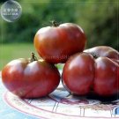 Fresh  Eluosi Cherokee Purple Giant Tomato 100 seeds tasty edible vegetables fruits