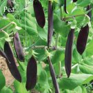 Fresh Heirloom Black Big Pea 5 seeds delicious healthy nutritious vegetables E3602