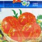 Fresh Red Tomato with Yellow Strip F1 Seeds 300 Seeds/Pack Big Tomato