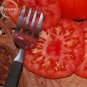 Fresh Zapotec Ruffled Bright Red Tomato 100 seeds tasty edible fruits E3787