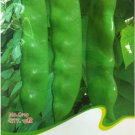 Fresh Chinese Bean Seeds Contains Rich Oil Green Chinese Vegetables Seeds 15 Seeds