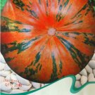 Fresh 30 Seeds/Pack Edible Large Orange Pumpkin with Green Stripe Seeds