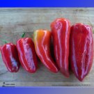 Fresh Lipstick Long Red Sweet Pepper Seeds 50 Seeds/Pack Tasty Vegetables