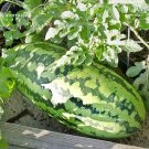 Fresh 100% Genuine Giant Baby Sweet Juicy Watermelon 20 seeds delicious fruit