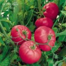 Fresh Hybrid Rose Pink Big Tomato Seeds 100 Seeds/Pack Tasty Rich Tasty Flavor Tomato