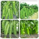 Fresh Heirloom Light Green Long Sheep Horn Sweet Pepper Vegetable F1 Seeds 20+ E3465