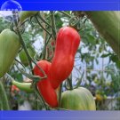 Fresh Jersey Devil Tomato Seeds 100 Seeds Professional Pack long red sweet tomatoes