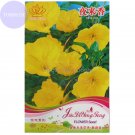 Fresh Polianthes Tuberosa Tuberose Flower 40 Seeds yellow compact flowers 1cm tall