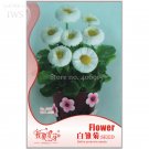 Fresh White Daisies Seeds Dwarf Bellis Perennis Seeds 60 seeds