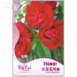 Fresh Fire Red Impatiens FLowers 25pcs/pack improve the environment Seeds