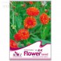 Fresh Little red ZinniaeIegans Flower Seeds 30 seeds medicinal vegetable seeds