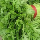 Fresh Chrysanthemum Coronarium Vegetable Seeds 120PCS Small Leaf Garland Chrysanthemum