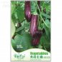 Fresh Long egg Seeds 20 seeds healthy delicious fruit vegetable seeds