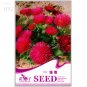 Fresh Chrysanthemum Daisy Seeds Flowering s Seeds 50 seeds balcony easy to flower