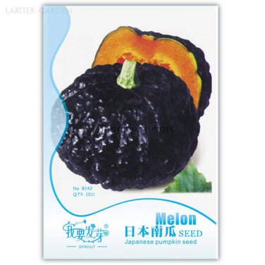Fresh Japanese Black Pumpkin Vegetables 10 Seeds nutritive edible squash fruit